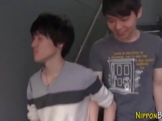 吸吮 日本語 奶油小生